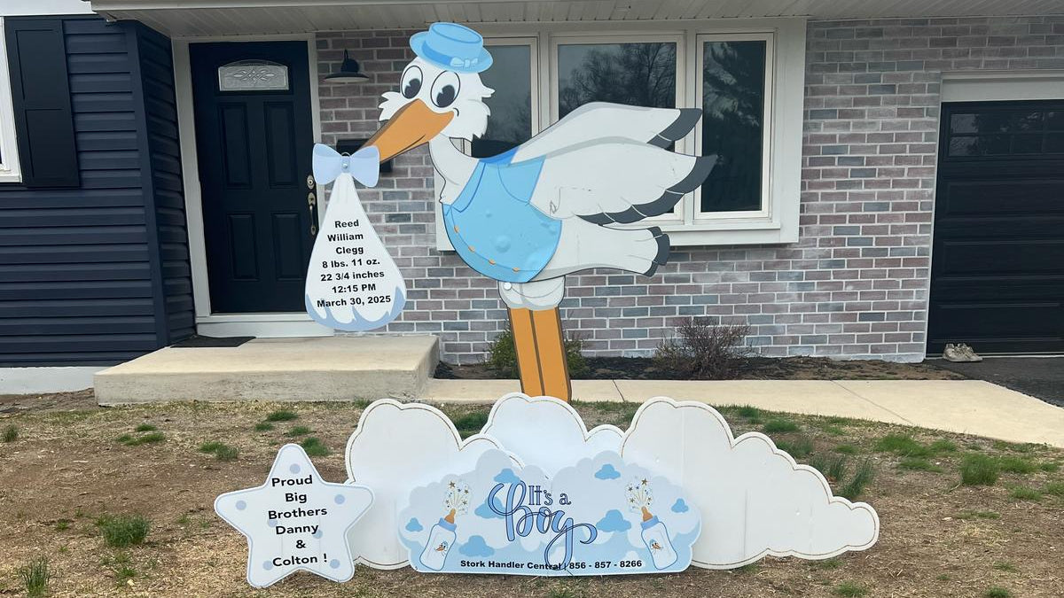 Stork holding a baby in a blue outfit in front of a house